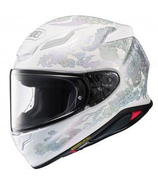 Shoei Nxr2 Fearless TC6